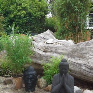 Bambus og Buddha